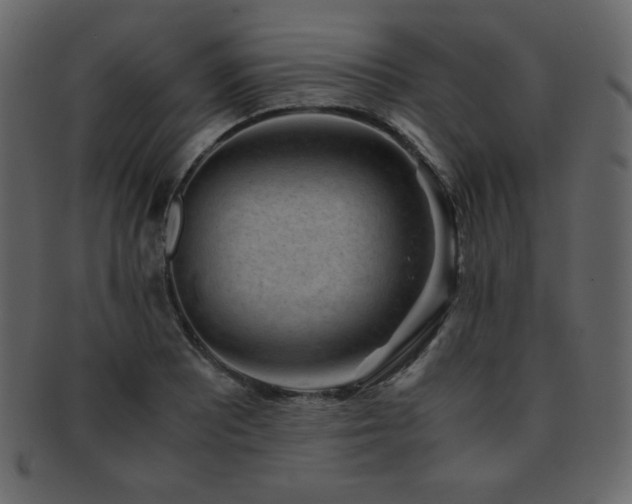 X0000093161081200709261504
