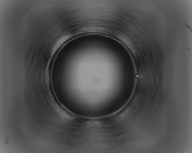 X0000093161082200709261504