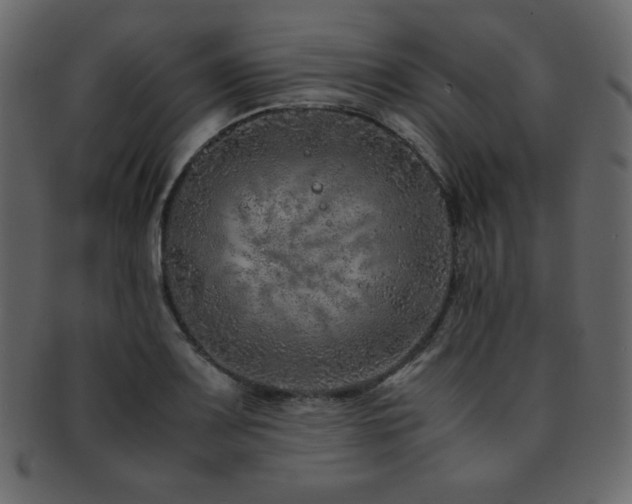 X0000093161083200709261504