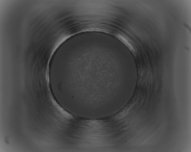 X0000093161084200709261504