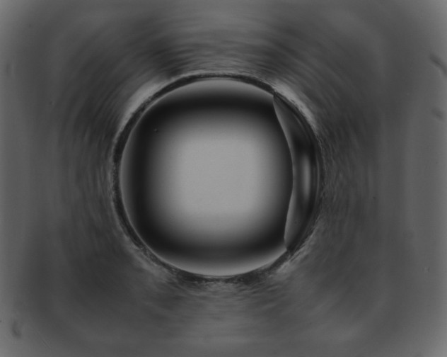 X0000093161085200709261504