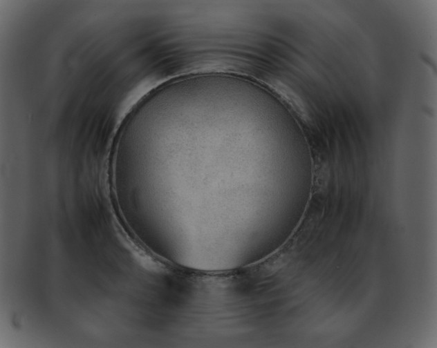 X0000093161086200709261504