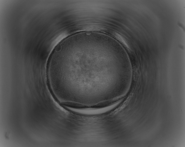 X0000093161087200709261504