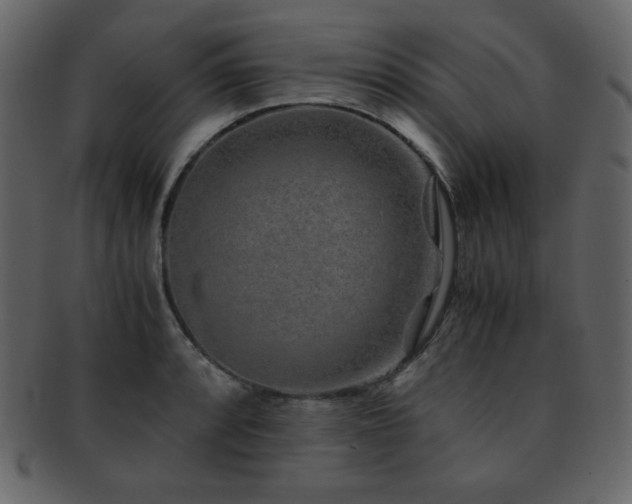 X0000093161088200709261504