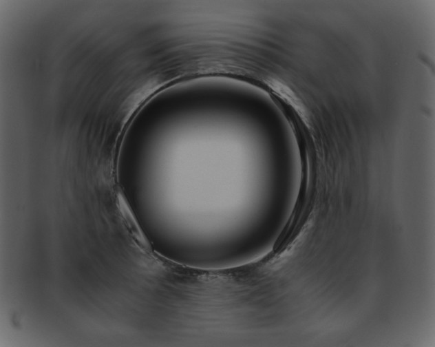 X0000093161089200709261504