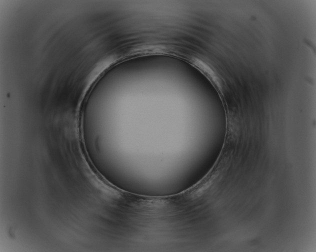 X0000093161090200709261504