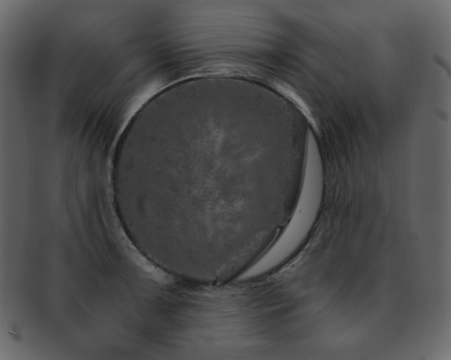 X0000093161091200709261504