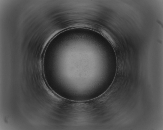 X0000093161092200709261504