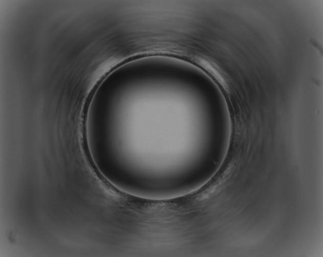 X0000093161093200709261504