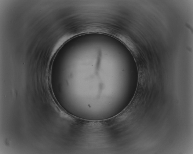 X0000093161094200709261504