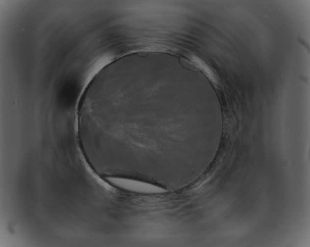 X0000093161095200709261504