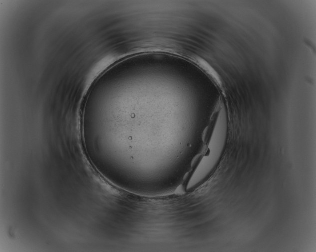 X0000093161096200709261504