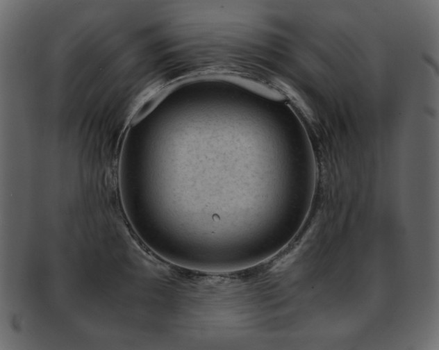 X0000093161097200709261504