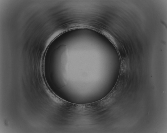 X0000093161098200709261504