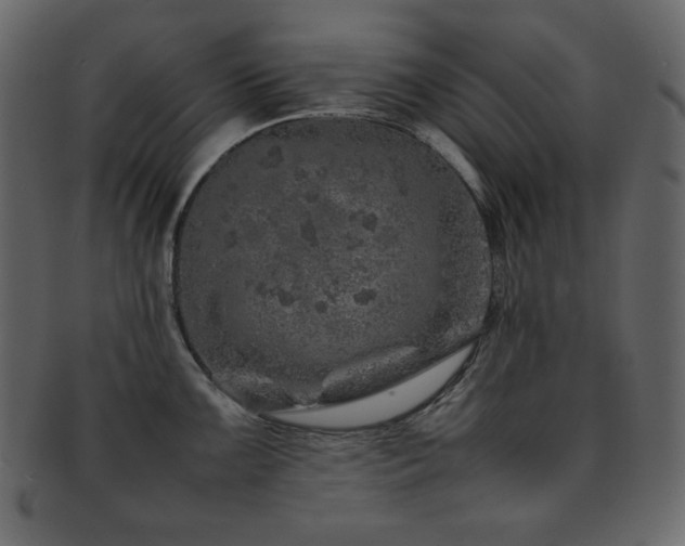X0000093161099200709261504