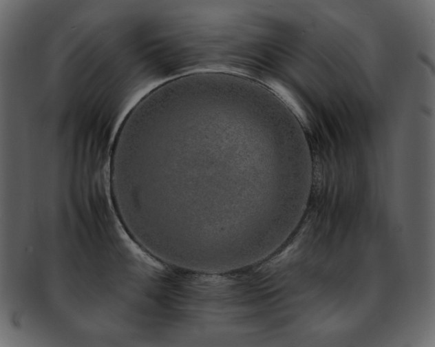 X0000093161100200709261504