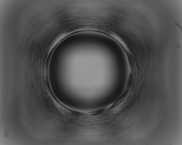 X0000093161101200709261504