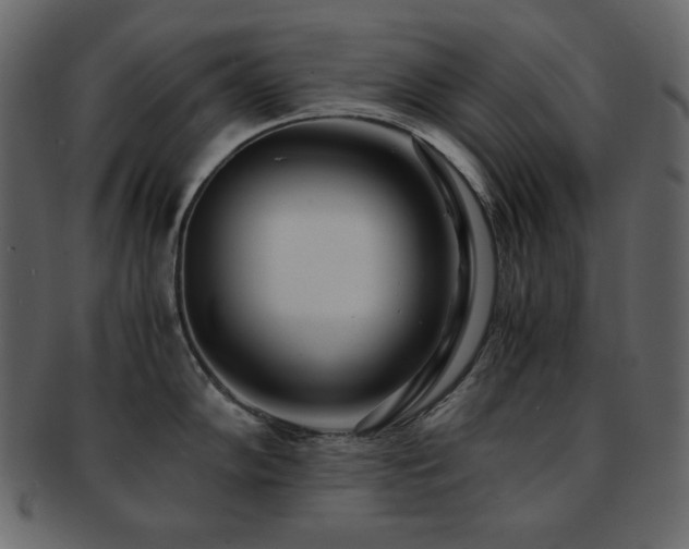 X0000093161102200709261504