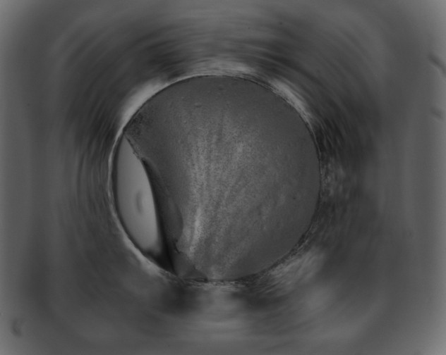 X0000093161103200709261504