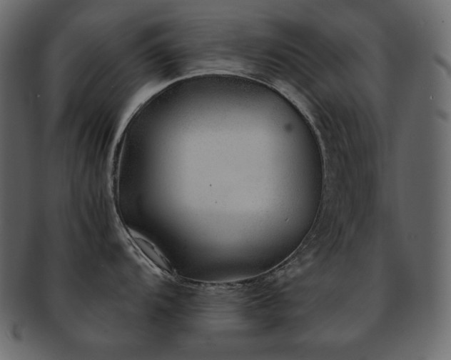 X0000093161104200709261504