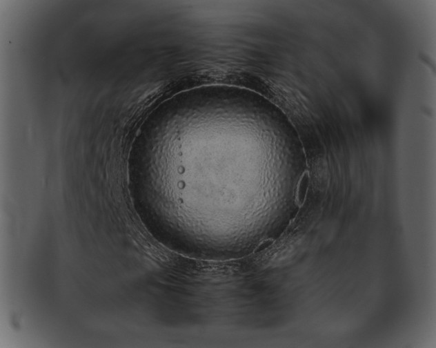 X0000093161105200709261503