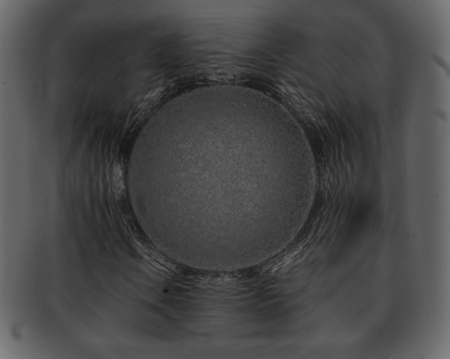 X0000093161106200709261503
