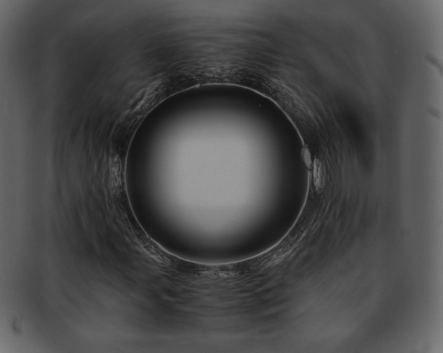 X0000093161107200709261503