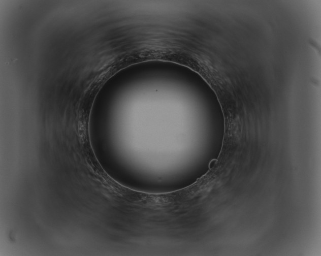 X0000093161109200709261503