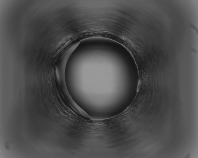 X0000093161110200709261503