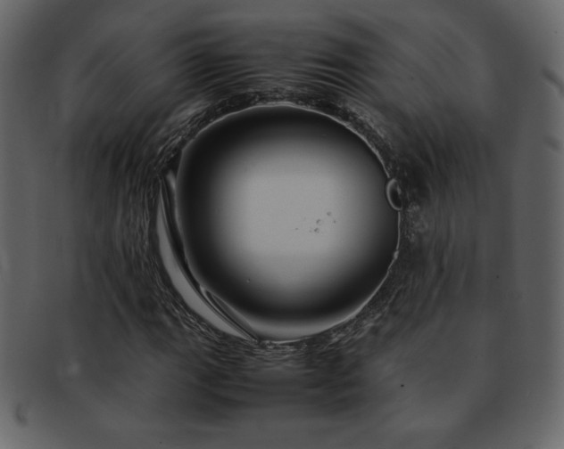 X0000093161111200709261503
