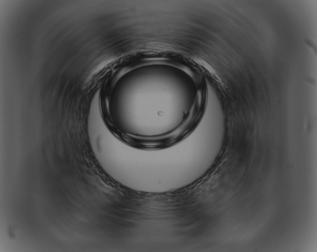 X0000093161112200709261503