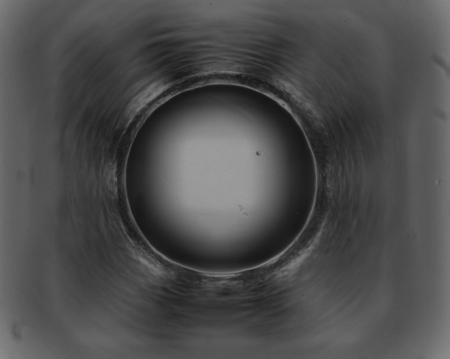 X0000093161113200709261503