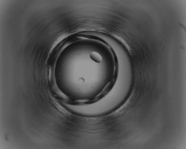 X0000093161114200709261503