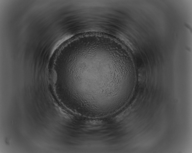 X0000093161117200709261503