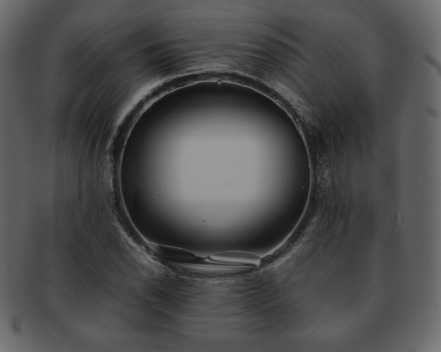X0000093161118200709261503