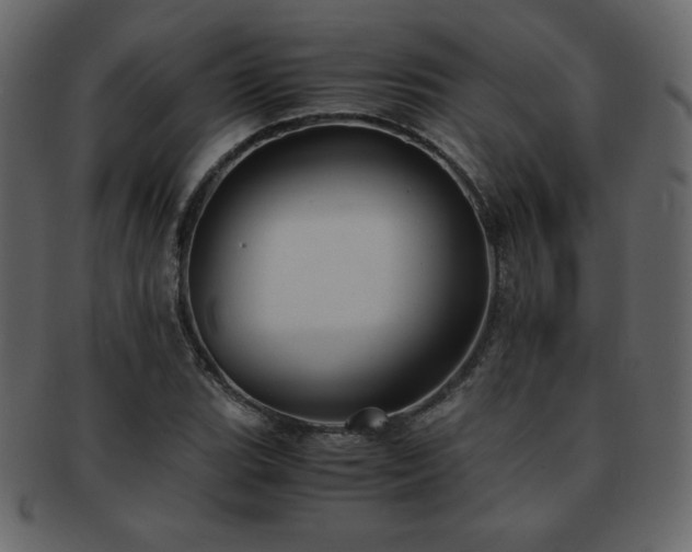 X0000093161119200709261503