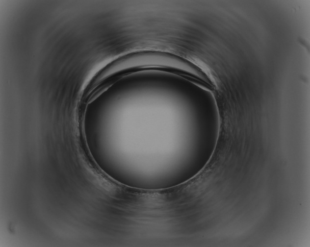 X0000093161120200709261503