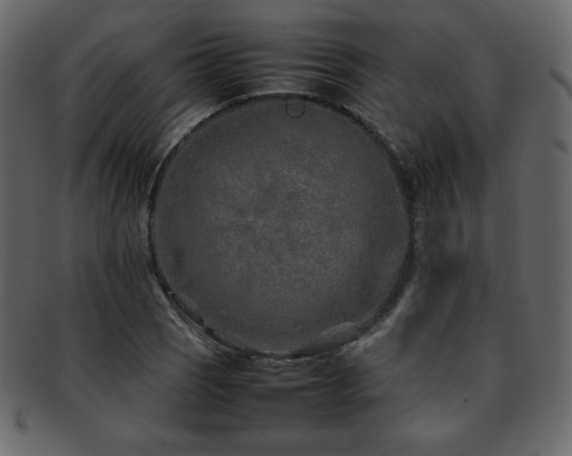 X0000093161121200709261503