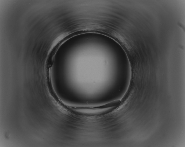 X0000093161122200709261504