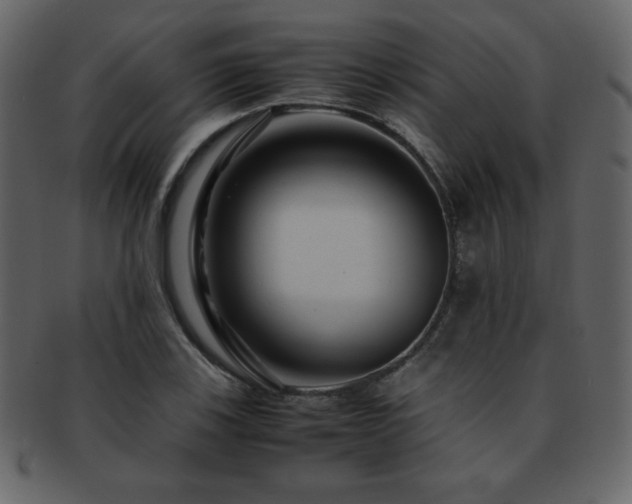 X0000093161123200709261504