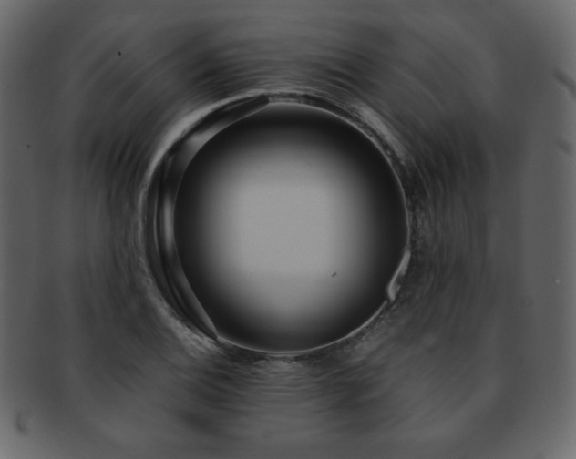 X0000093161124200709261504