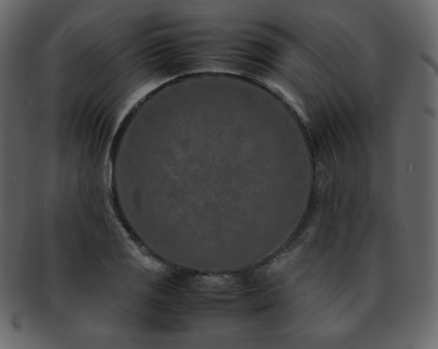 X0000093161125200709261504