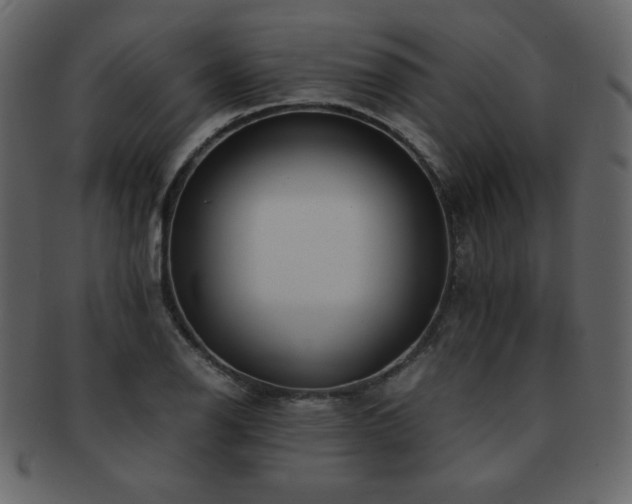 X0000093161126200709261504