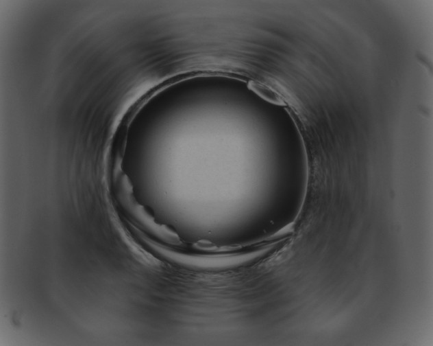 X0000093161128200709261504