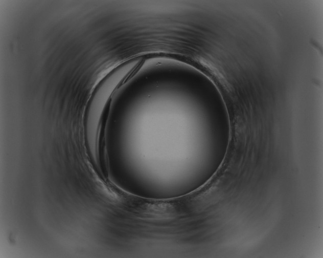 X0000093161129200709261504