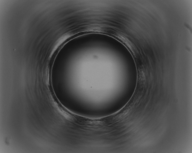 X0000093161131200709261504