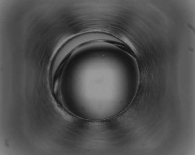 X0000093161132200709261504