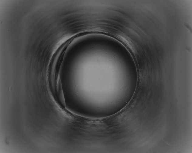 X0000093161133200709261504