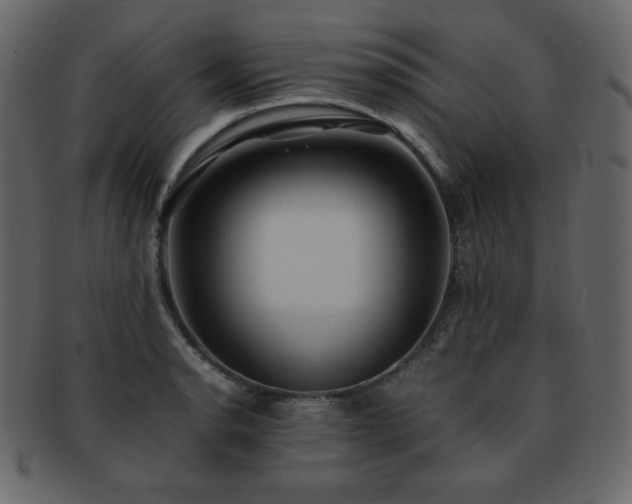 X0000093161134200709261504