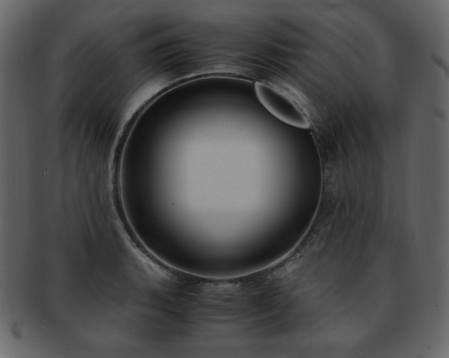 X0000093161135200709261504